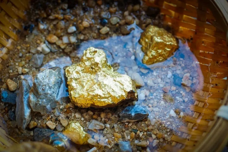 Gold nuggets sitting in a basket surrounded by rocks and gravel
